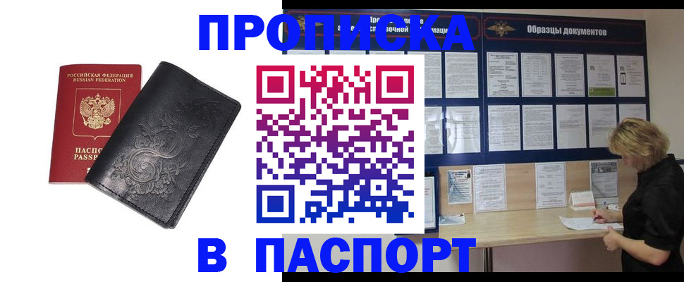 найти адрес прописки в Елизово